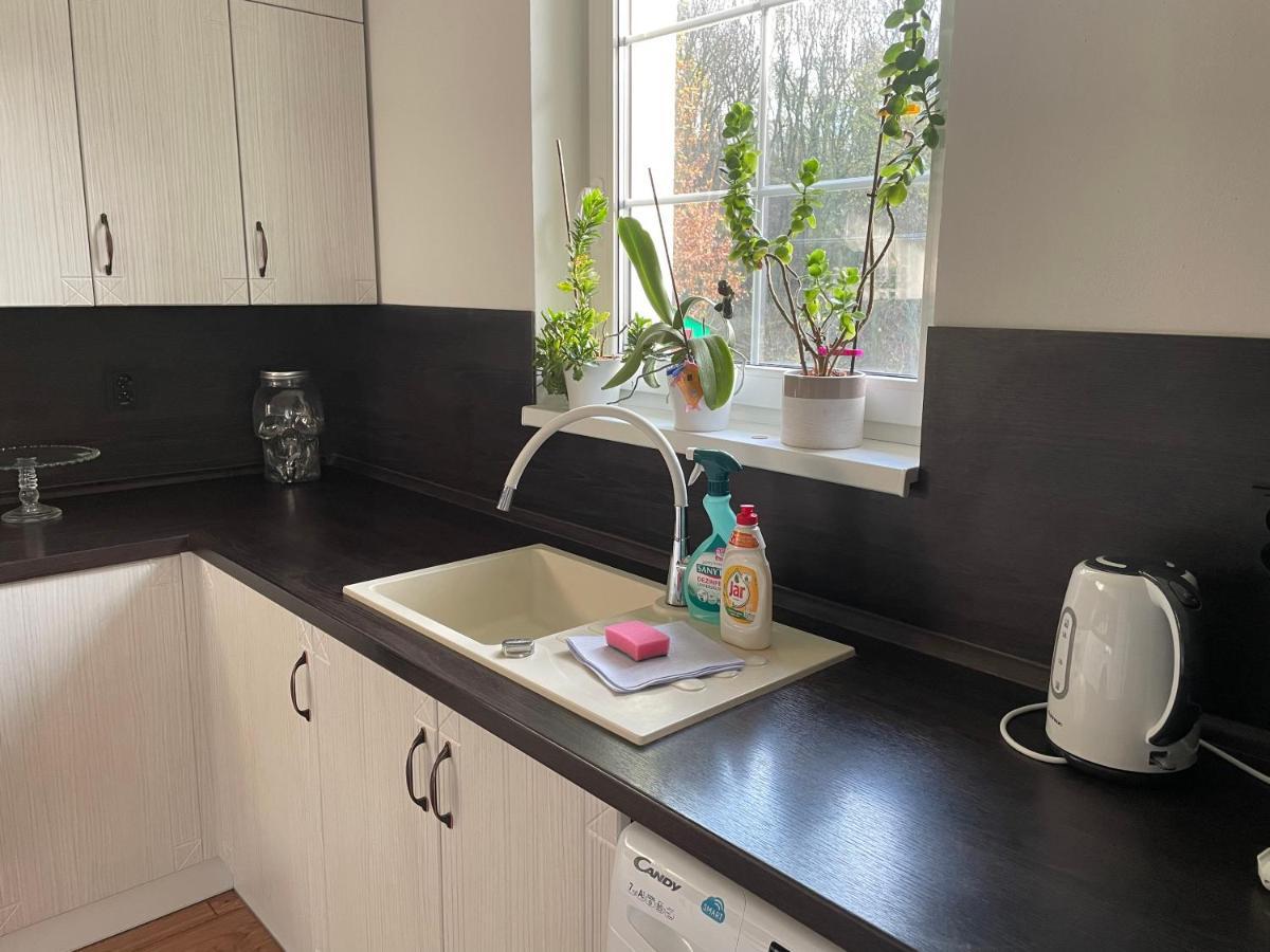 Veselka Holiday home *