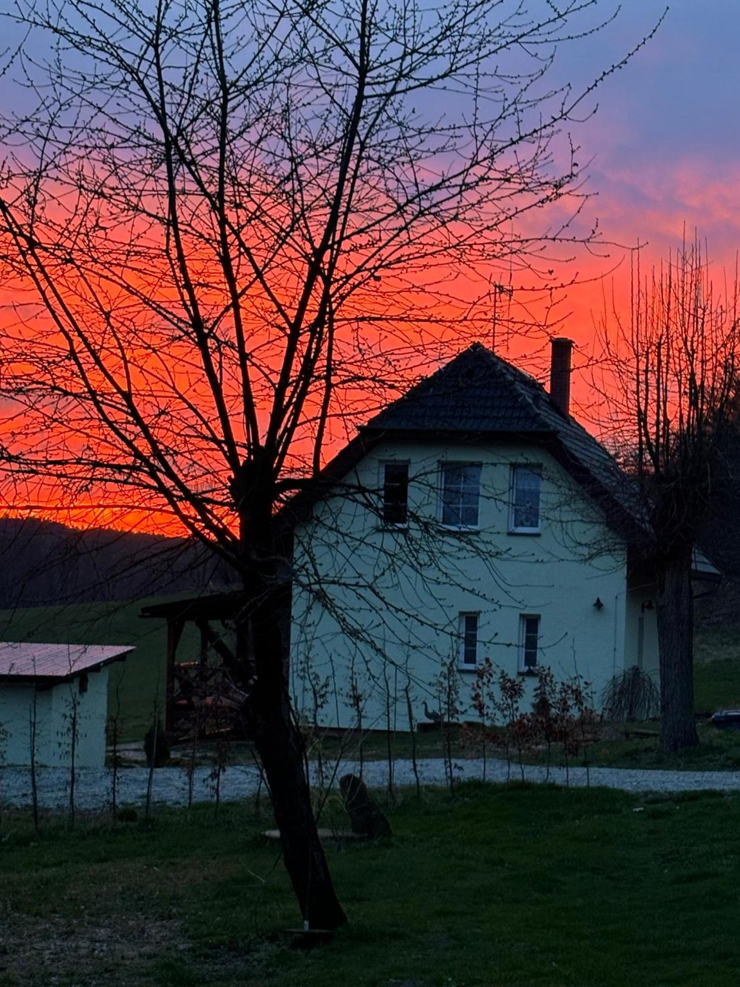 Veselka Holiday home